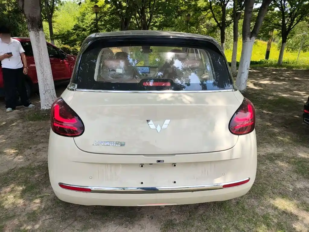 Wuling Binguo 2025 333km Enjoy