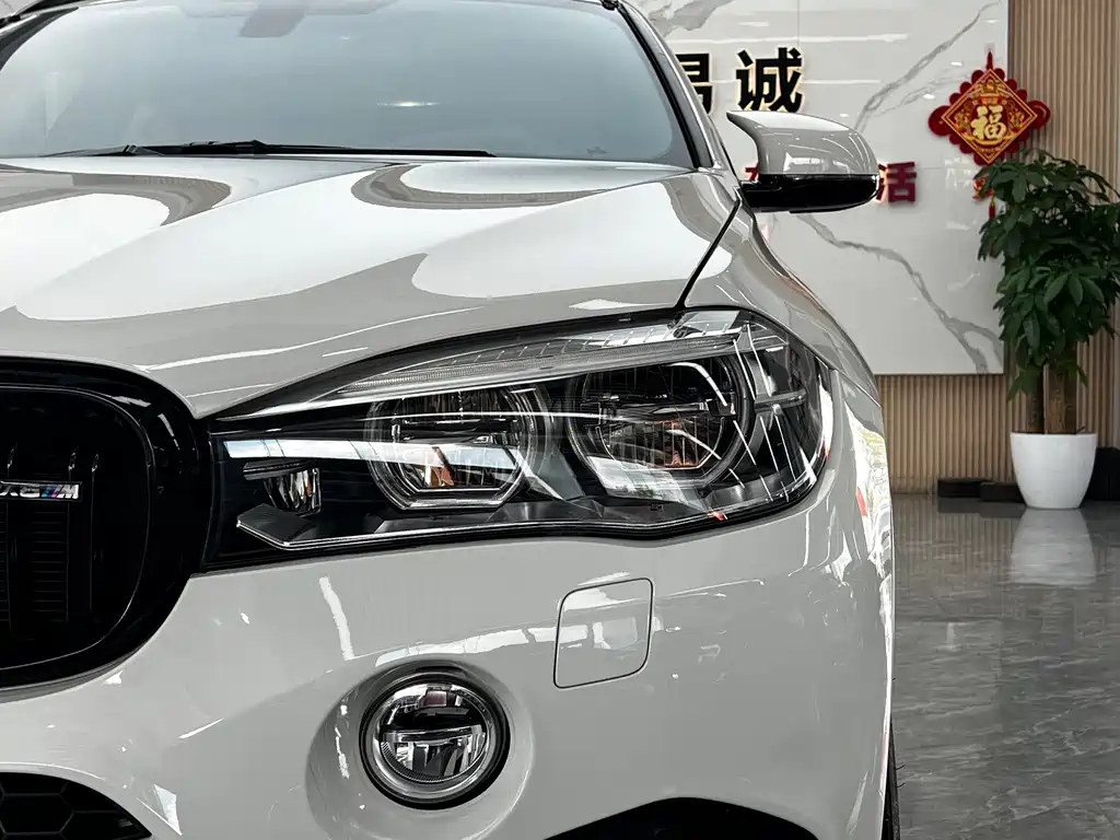 BMW X6 M X6 M, фото 9
