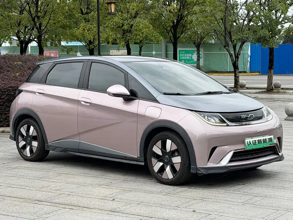 BYD Dolphin — миниатюра 3