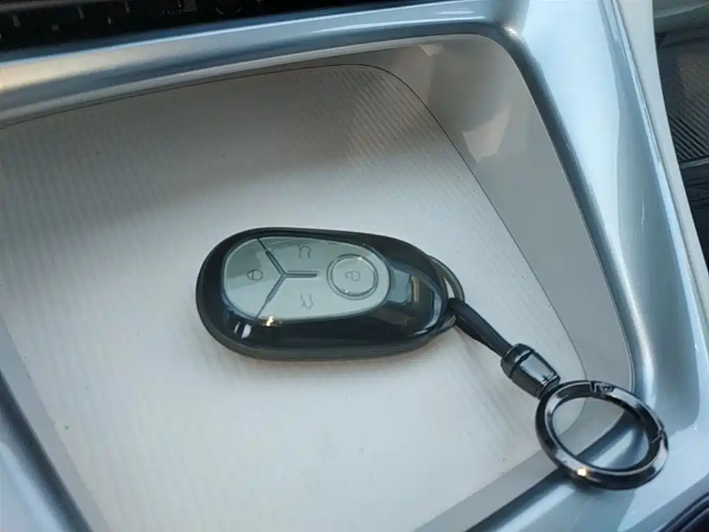 Geely Geome Xingyuan 2026 310km