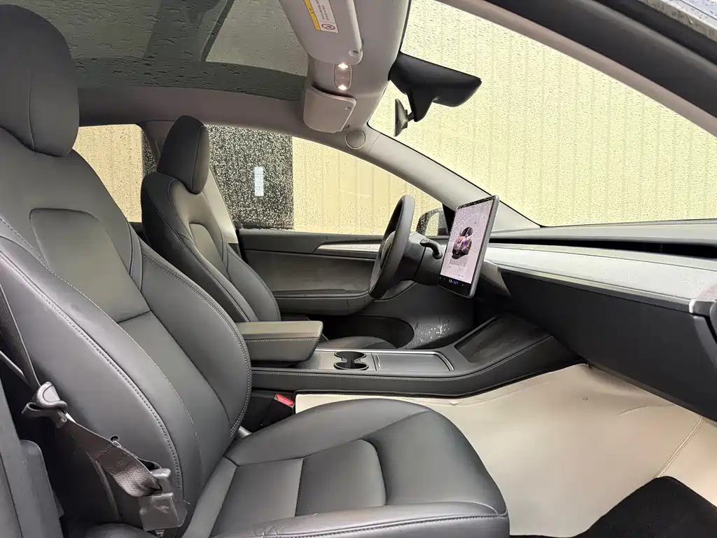 Tesla Model Y — миниатюра 23