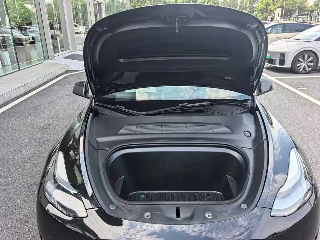 Tesla Model Y — миниатюра 6