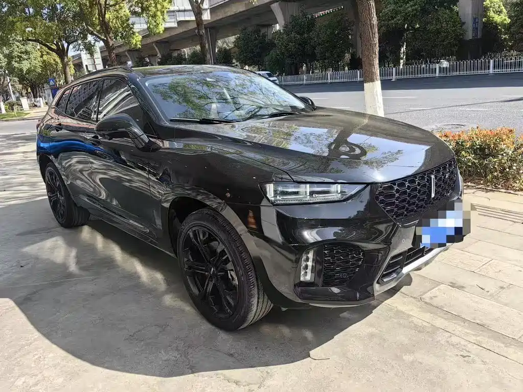 Wey Wey VV7 — миниатюра 2