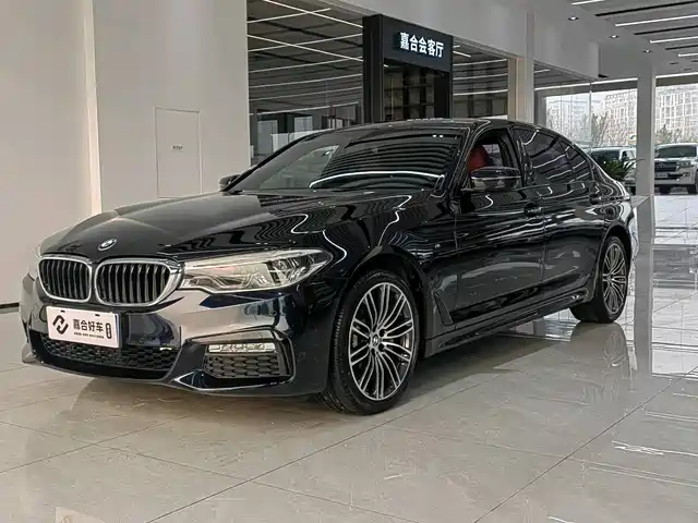 BMW 5 SERIES