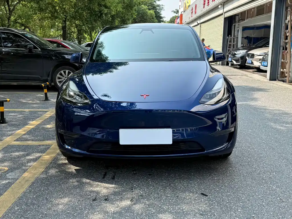 Tesla Model Y — миниатюра 4