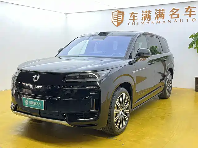 2025 Denza N9