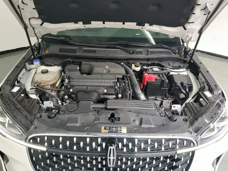 Lincoln Corsair 2.0T 4WD Premium Shine Edition, фото 10