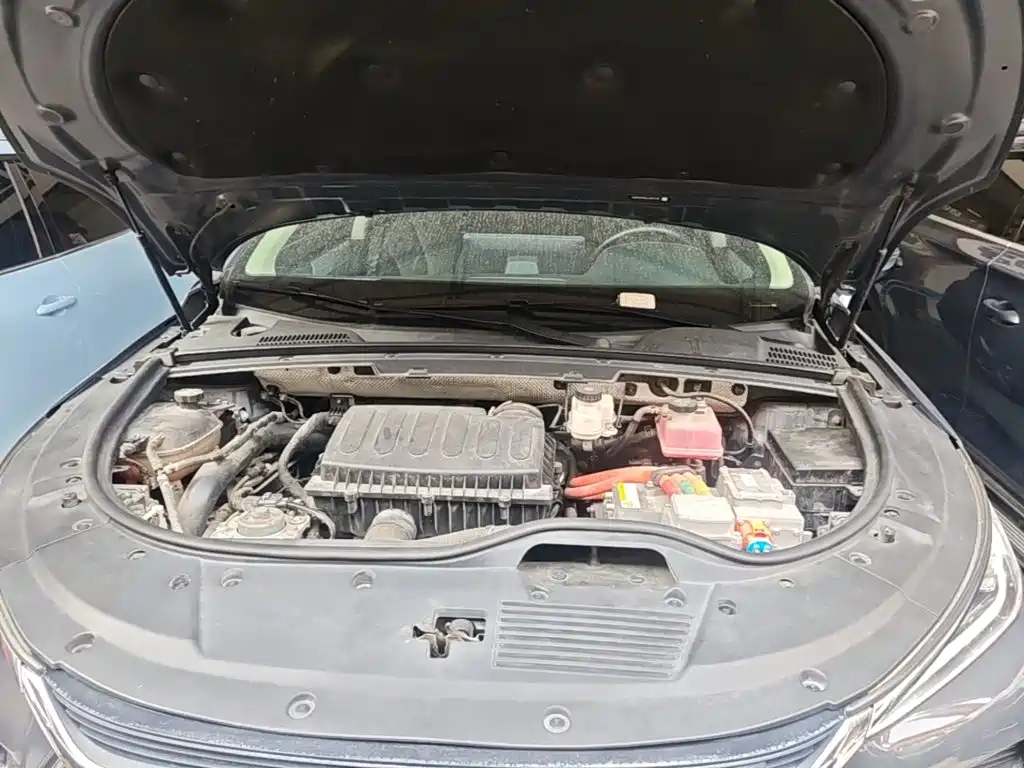 BYD Tang New Energy — миниатюра 20