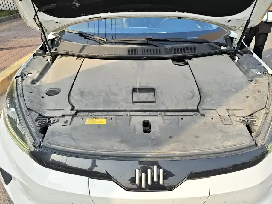 WM Motor EX5 — миниатюра 10
