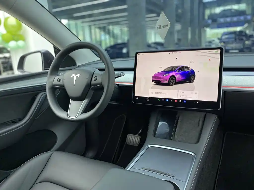 Tesla Model Y — миниатюра 32