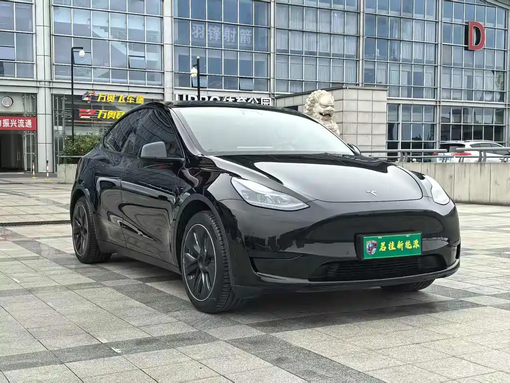 Tesla Model Y — миниатюра 3