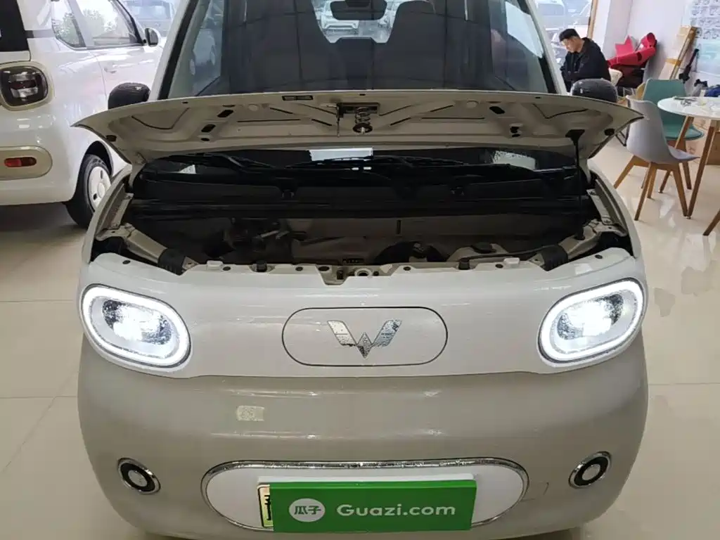 Wuling MINIEV — миниатюра 20