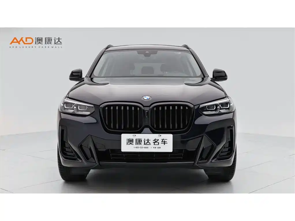 BMW X3 — миниатюра 2