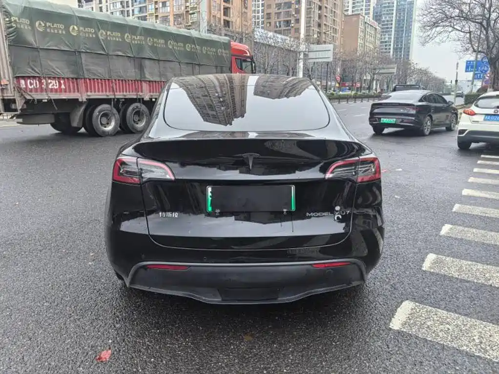 Tesla Model Y — миниатюра 5