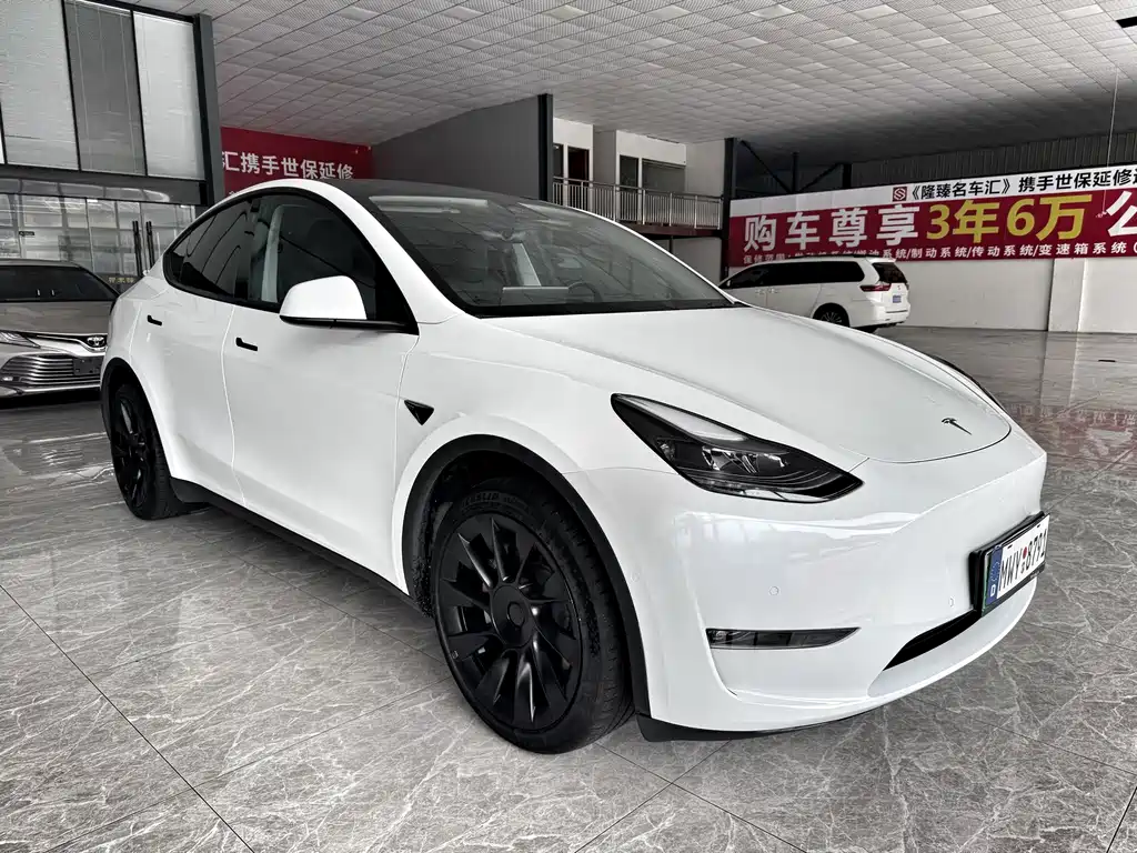 Tesla Model Y — миниатюра 3