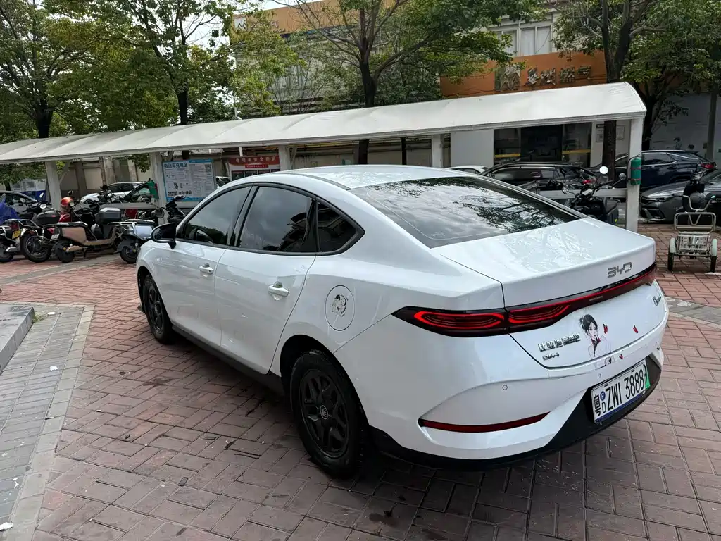 BYD Qin Plus PLUS 2025 DM-i Smart Drive 55KM Lead