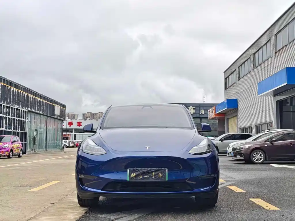 Tesla Model Y — миниатюра 2