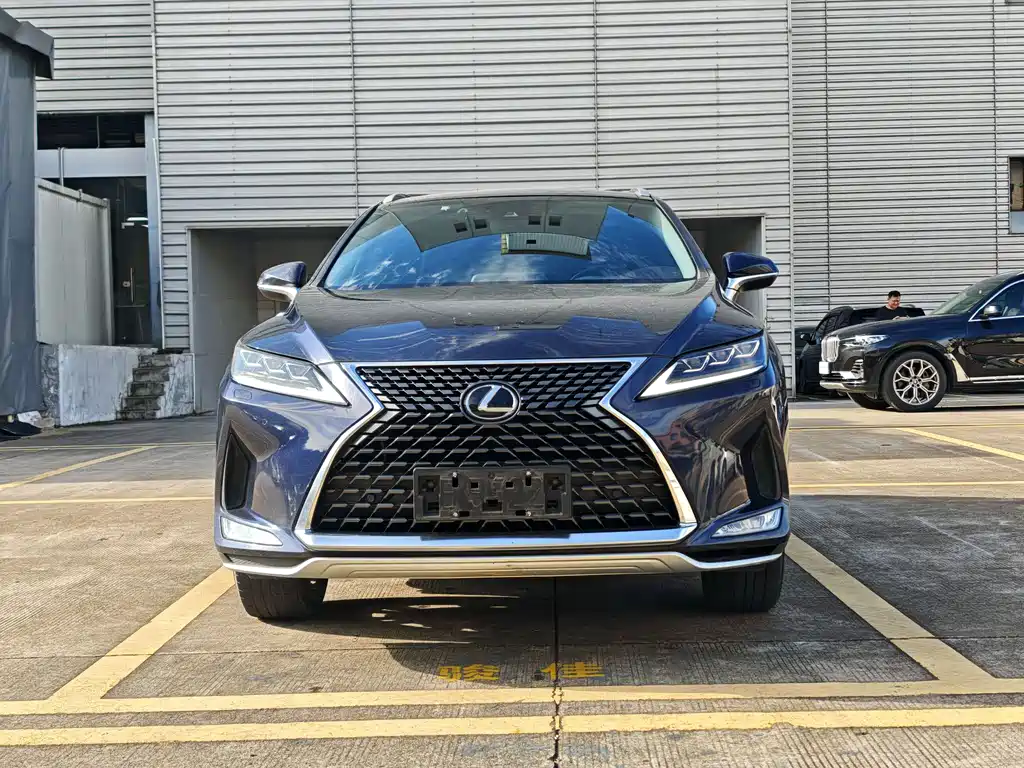Lexus RX 2020 300 Elegant VI