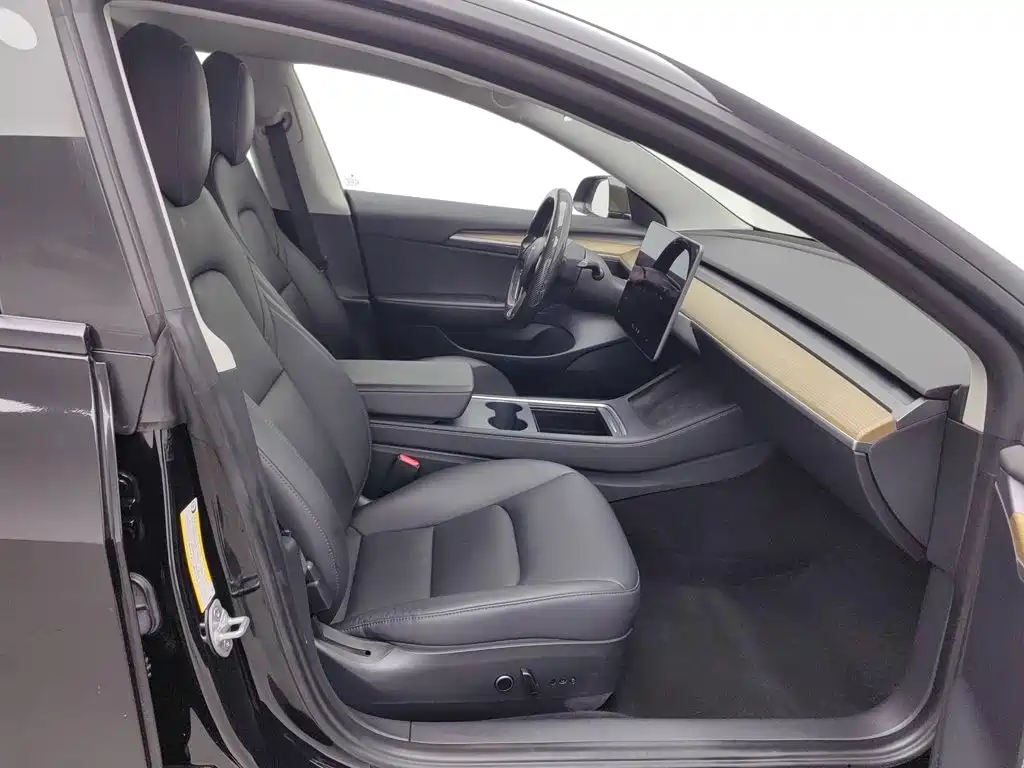 Tesla Model 3 — миниатюра 23