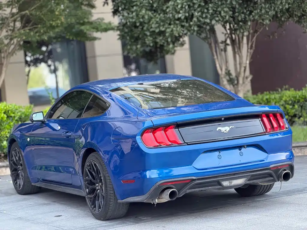 Ford Mustang — миниатюра 9