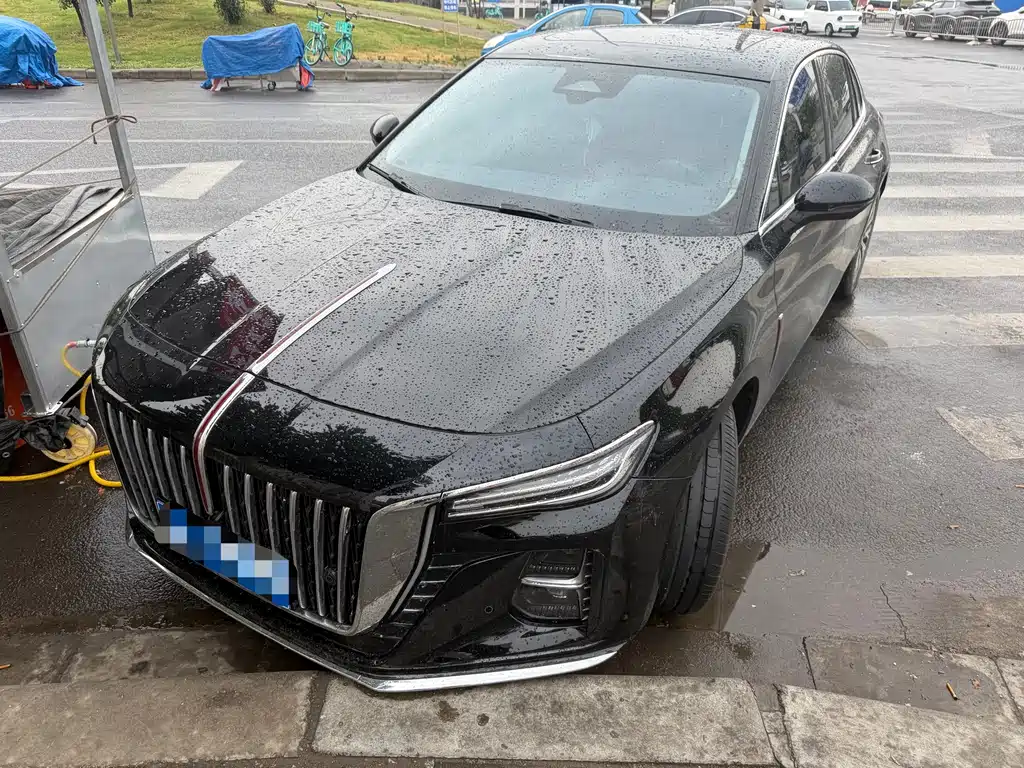 Hongqi Hongqi H5 2024
