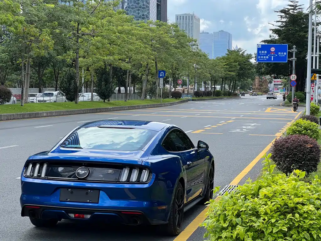 Ford Mustang — миниатюра 17