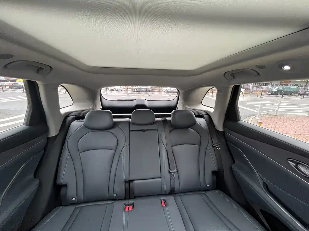 BYD Sealion 07 DM-i — миниатюра 8