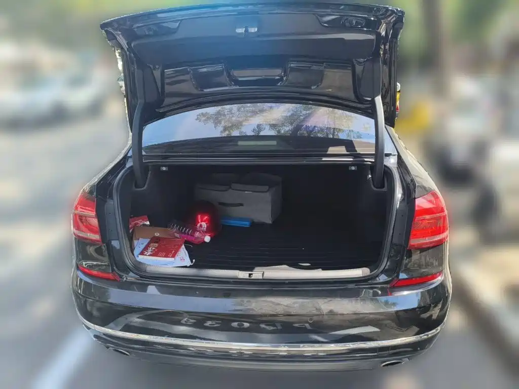 Volkswagen Passat — миниатюра 10