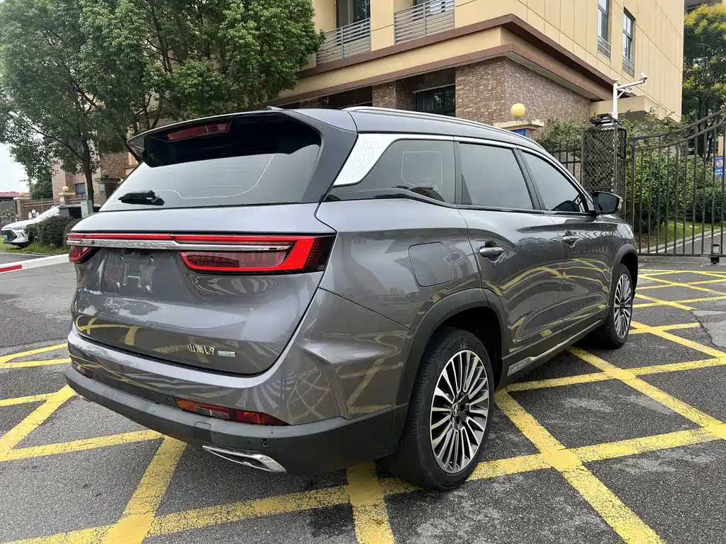 Shanhai Shanhai L9 — миниатюра 14