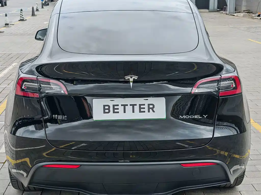 Tesla Model Y — миниатюра 15