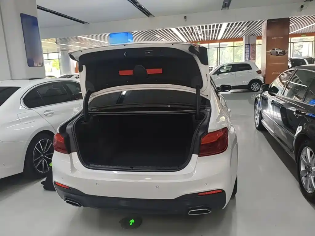 BMW 5 Series — миниатюра 19