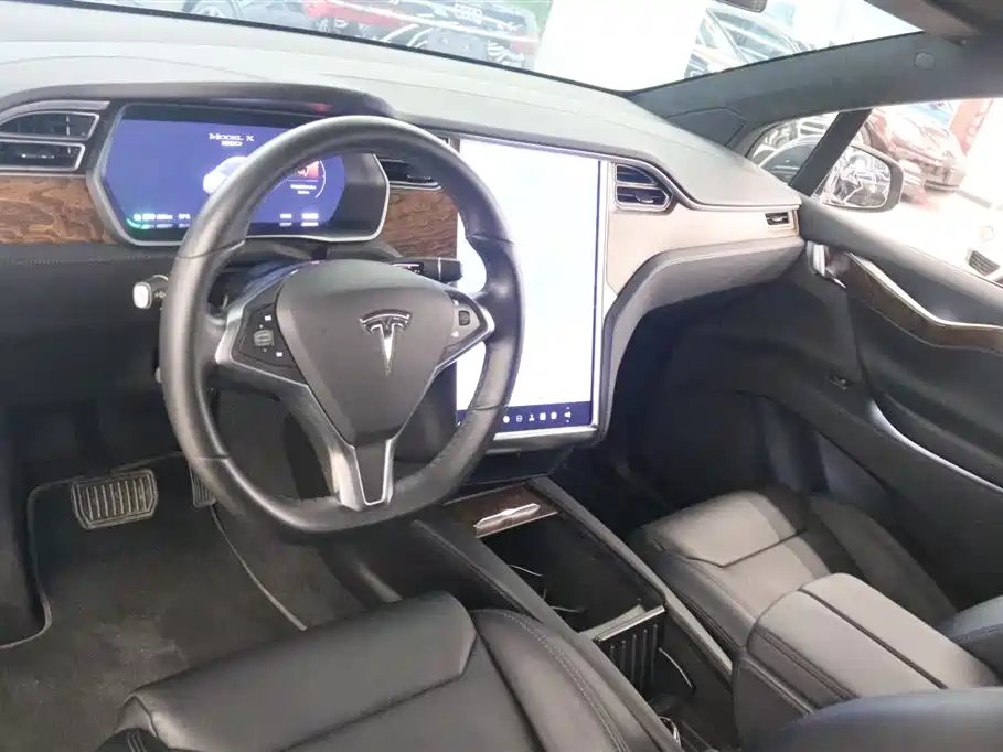 Tesla Model X 2017 Model X 100D