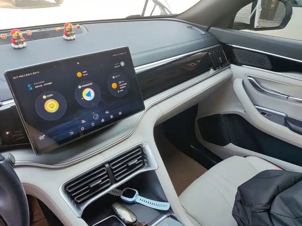 BYD PLUS New Energy — миниатюра 13