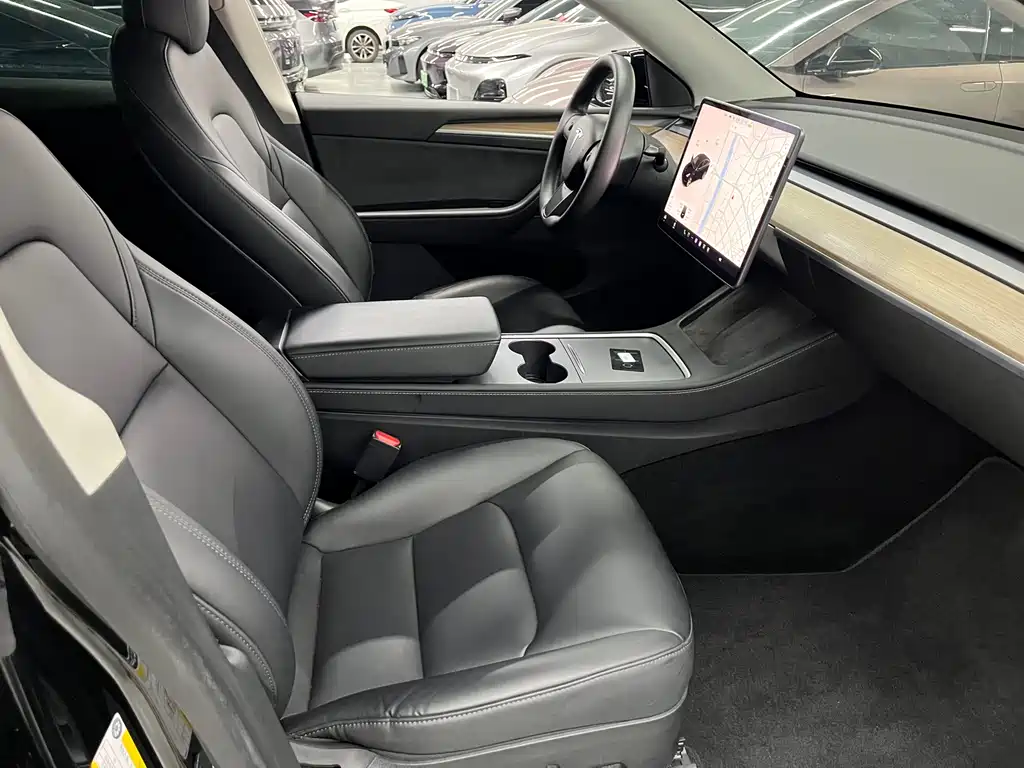 Tesla Model Y — миниатюра 4