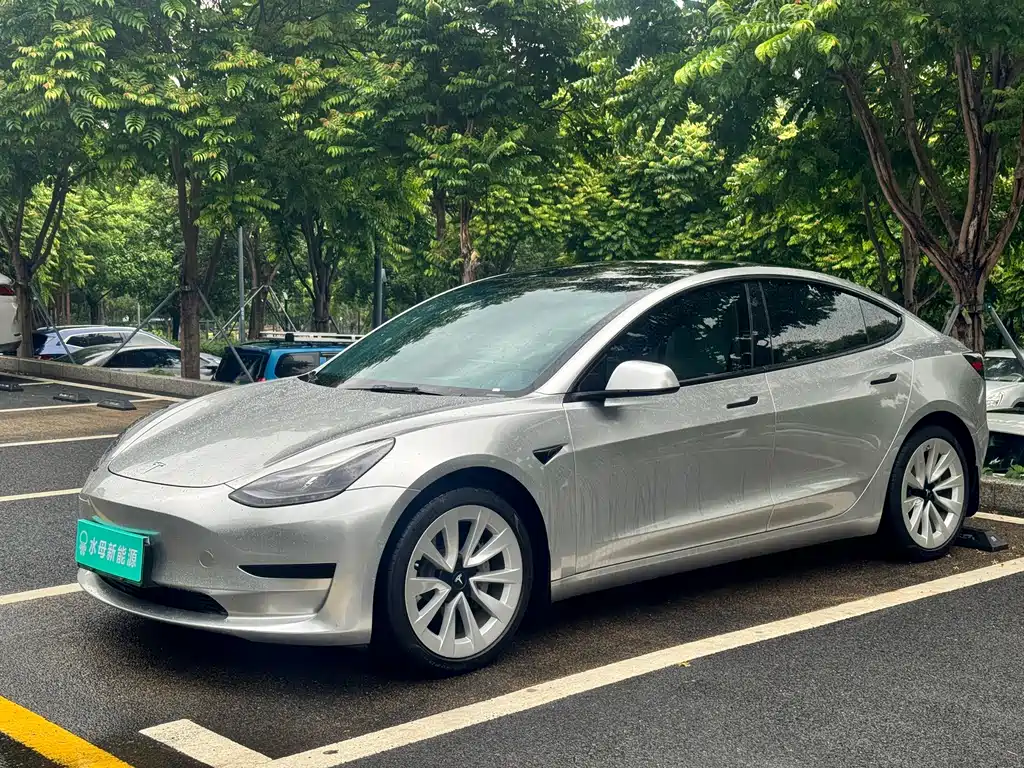Tesla Model 3 2022