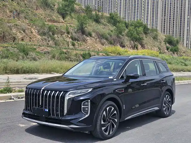 2024 Hongqi HS7