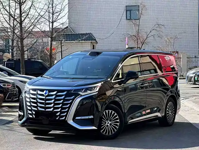 2024 Denza D9