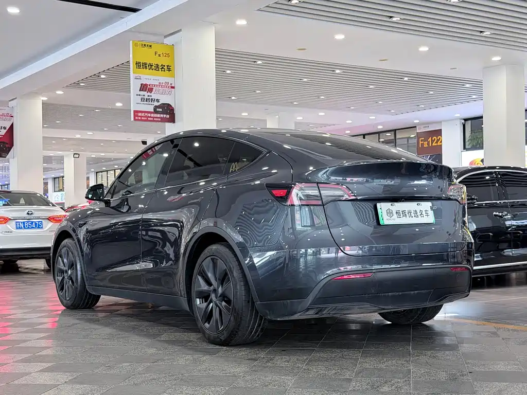 Tesla Model Y — миниатюра 4