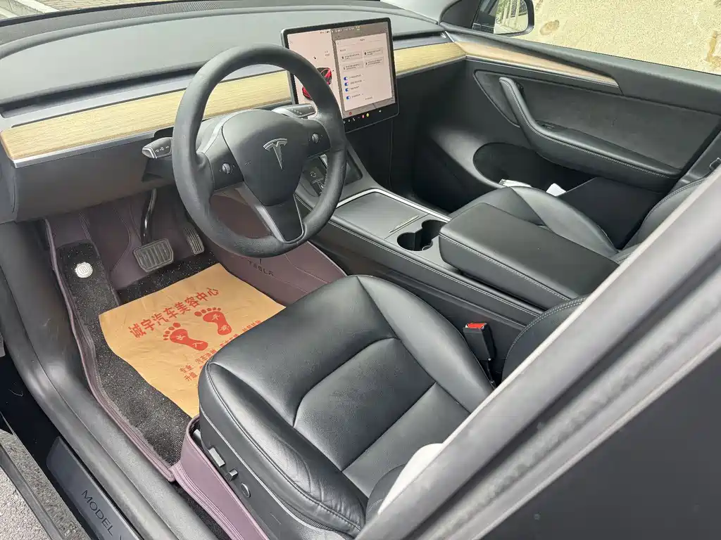 Tesla Model Y — миниатюра 4