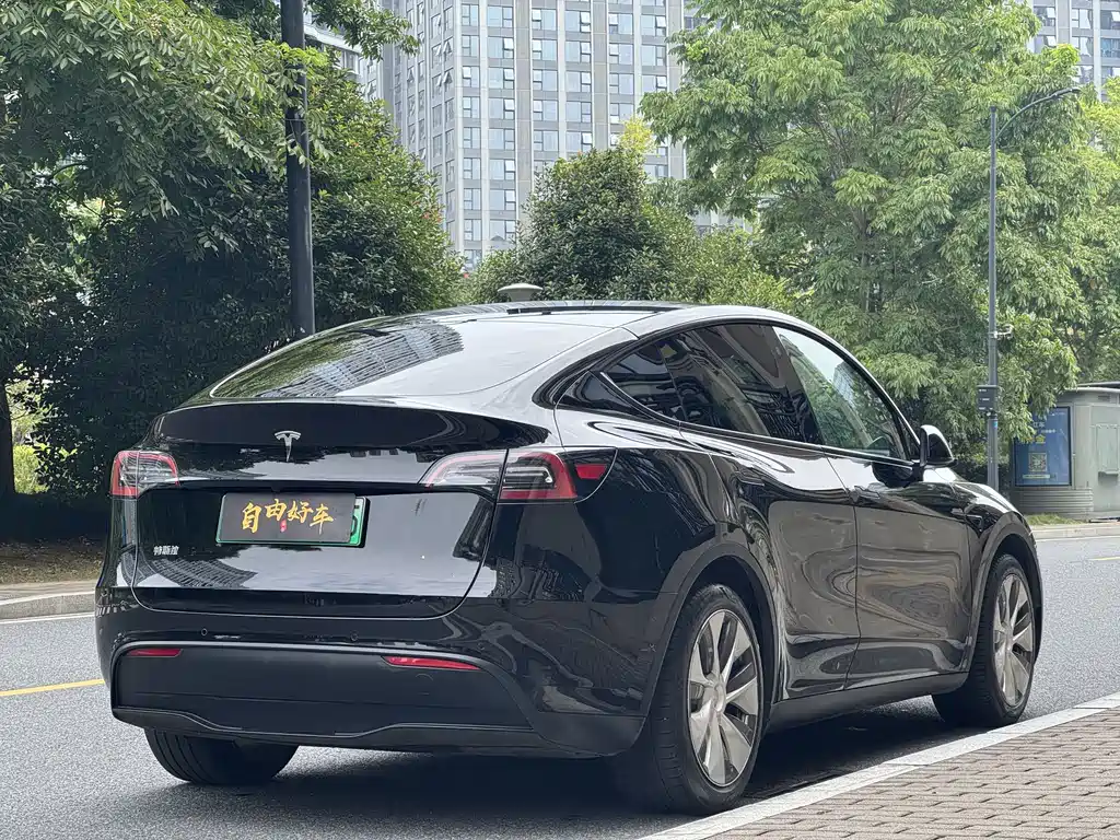 Tesla Model Y — миниатюра 19