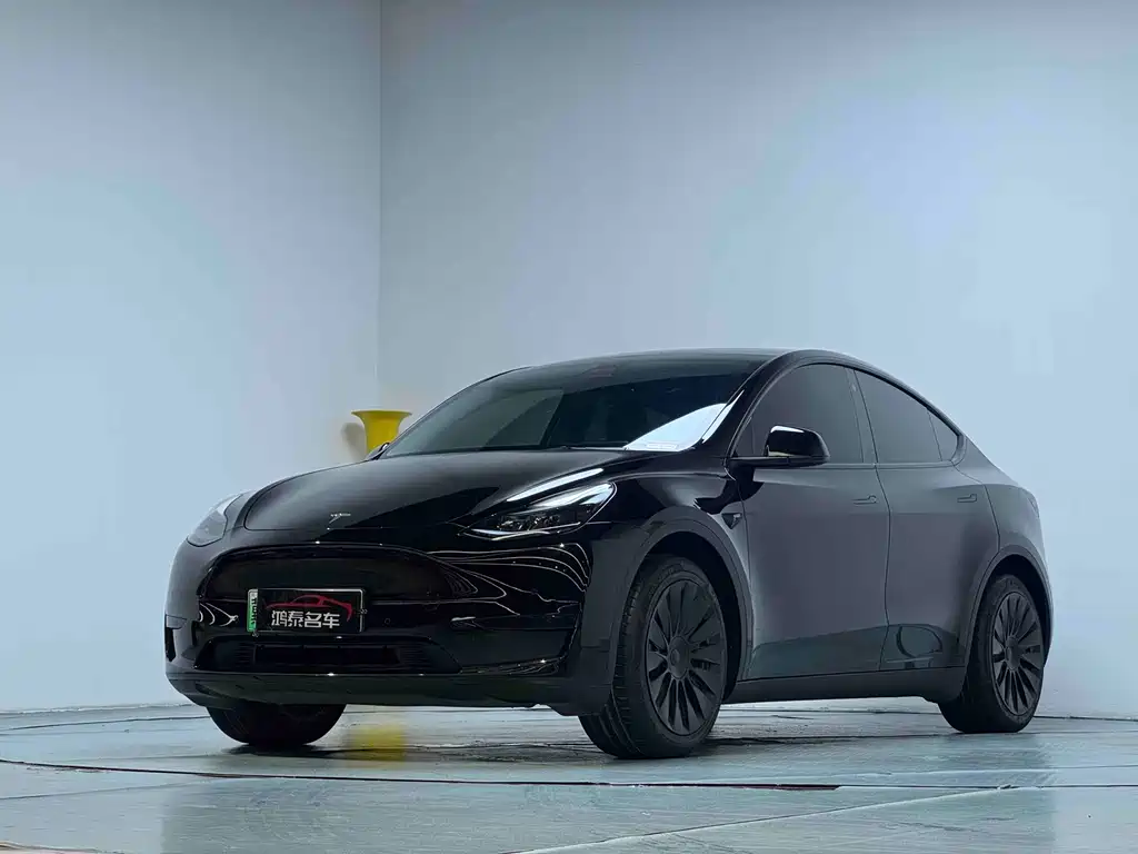 Tesla Model Y — миниатюра 2