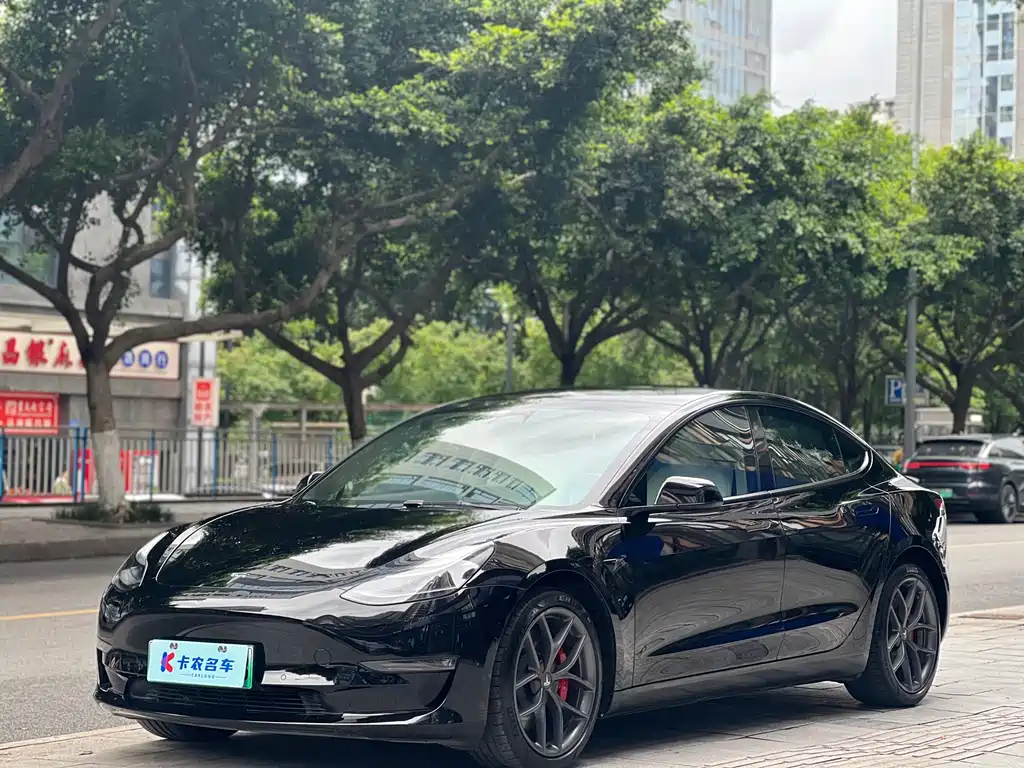 Tesla Model 3 2021