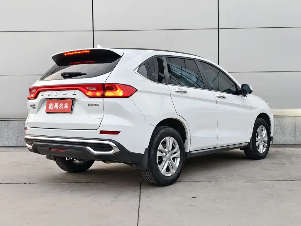 HAVAL M6