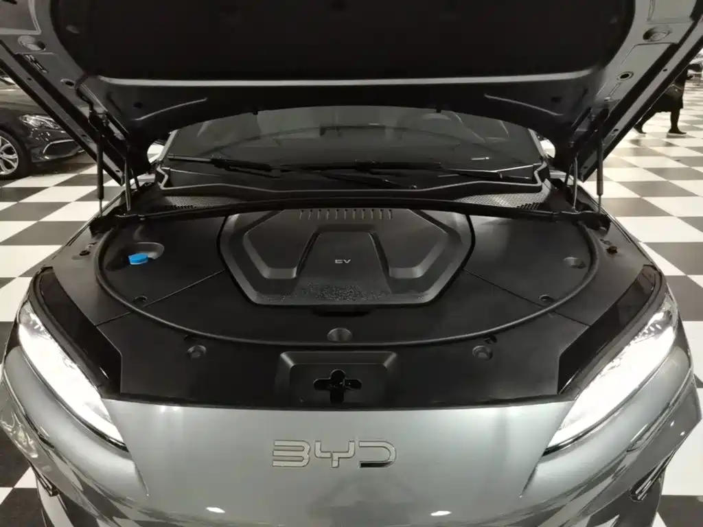 BYD PLUS New Energy — миниатюра 20