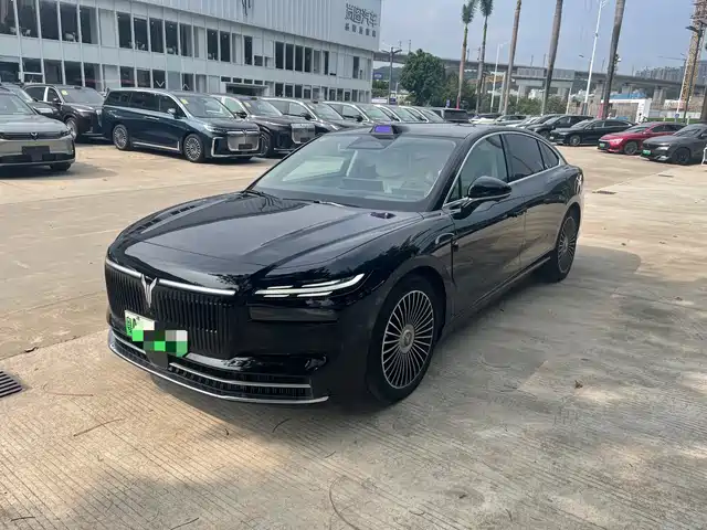 2025 Voyah