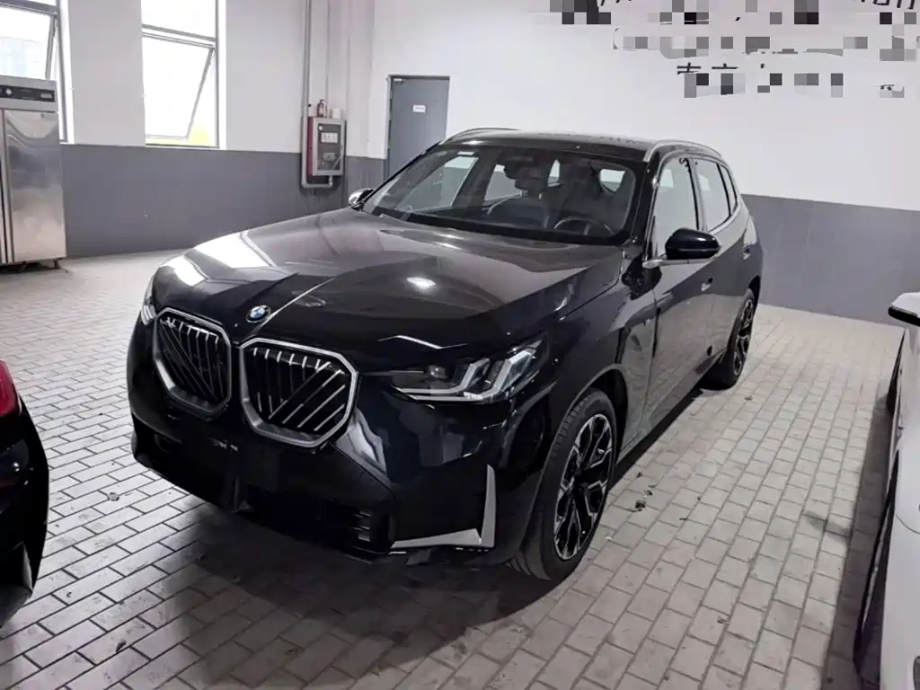 BMW X3 — миниатюра 2