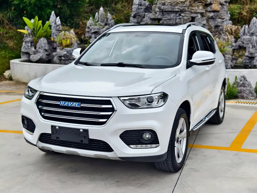 HAVAL  H2