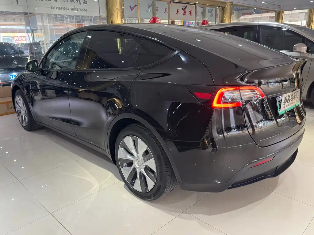 Tesla Model Y — миниатюра 4