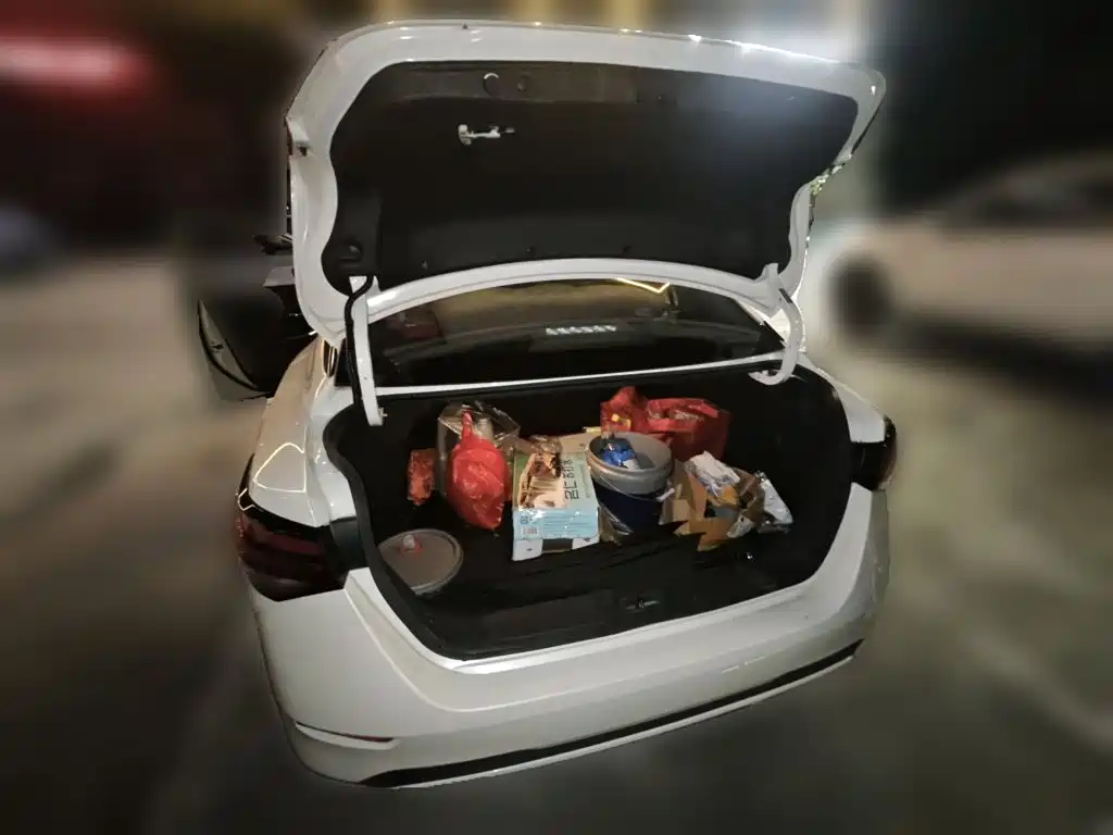 Nissan Sylphy — миниатюра 15