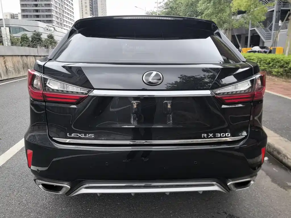 Lexus RX — фотографии объявления, Фото 6